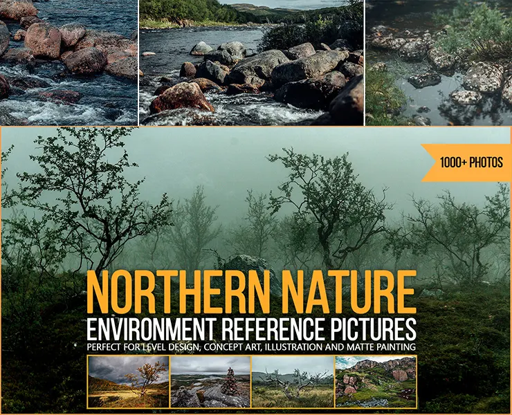1000+ Northern Nature Environment Reference Pictures