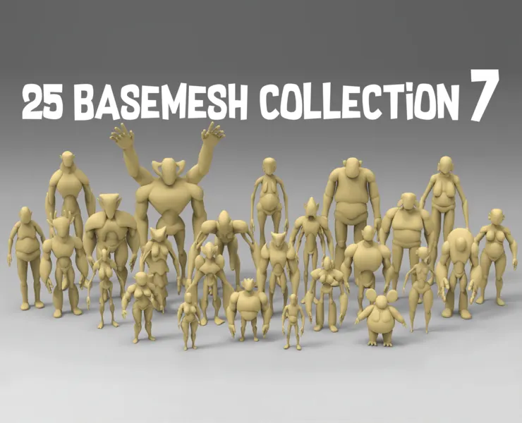 25 Basemesh collection-7