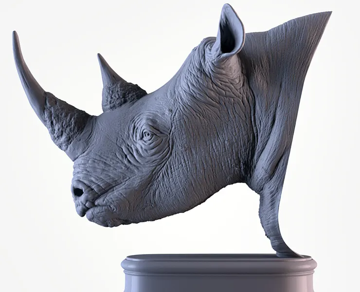 Rhino Head