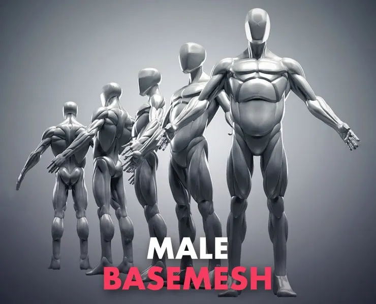 Male Base Mesh