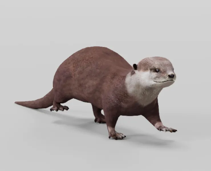 Otter Lowpoly