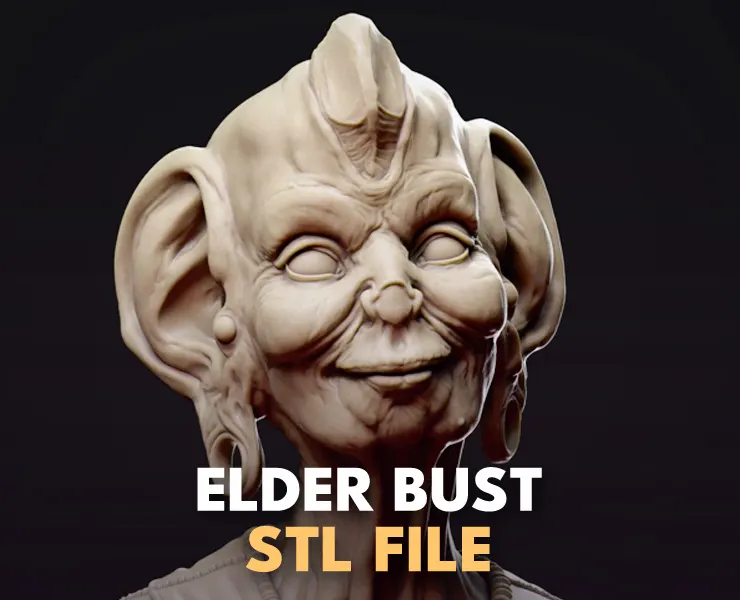 Elder bust STL