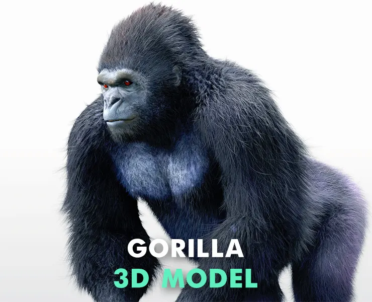 Gorilla hair fur rigged 3d model