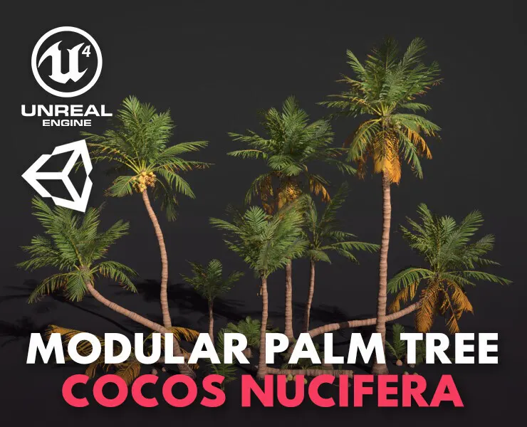 Modular Coconut Palm Trees - Cocos Nucifera