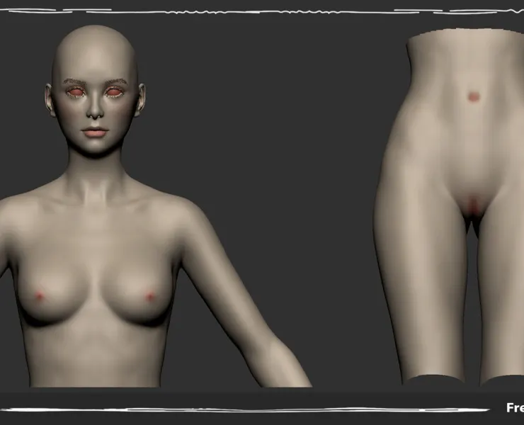 Base Body Female Nude