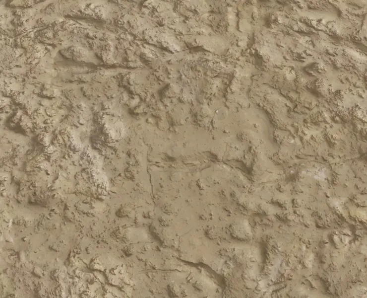 Wet Sand Texture