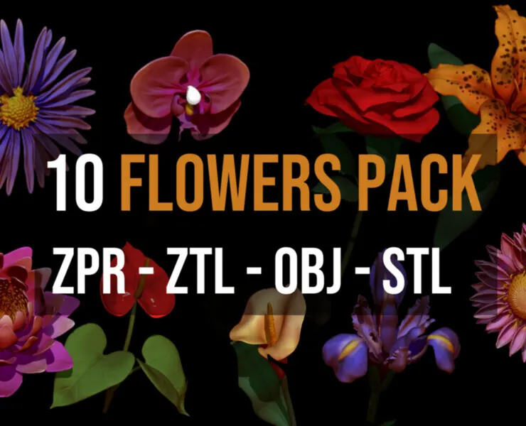 10 Flowers 3D Pack For Zbrush - Including ZPR, ZTL, OBJ, STL, FBX