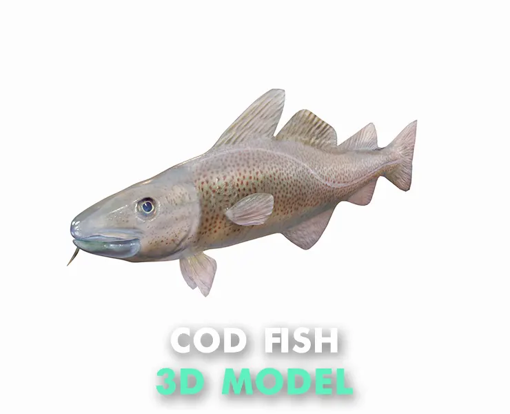 Cod fish 3d model