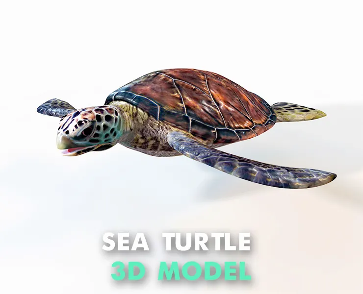 Sea Turtle 3d model