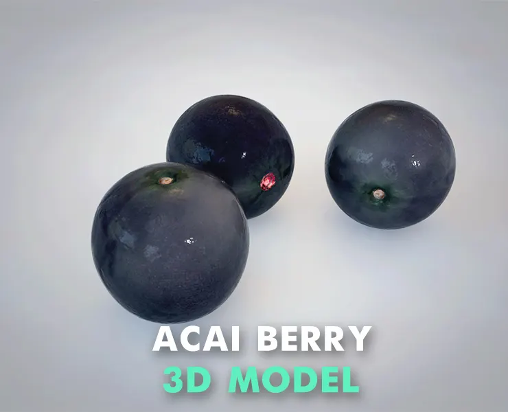 Acai berry 3d model