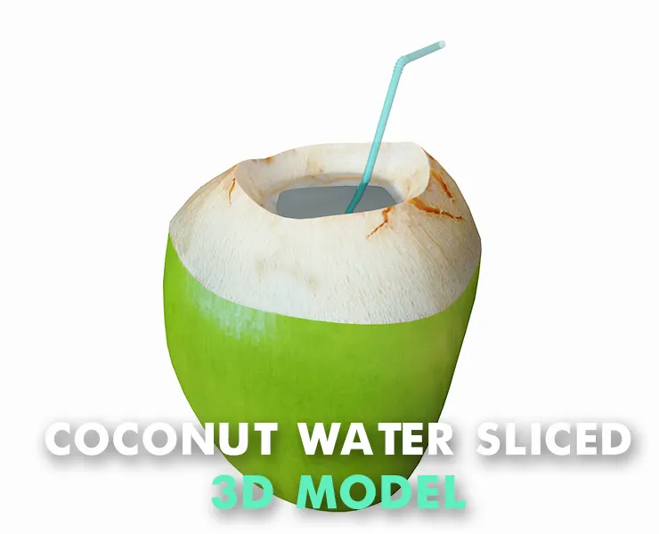 coconut water sliced 3d model