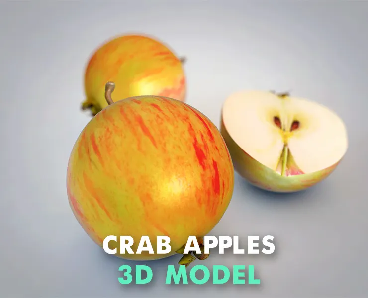 Crab apples 3d model