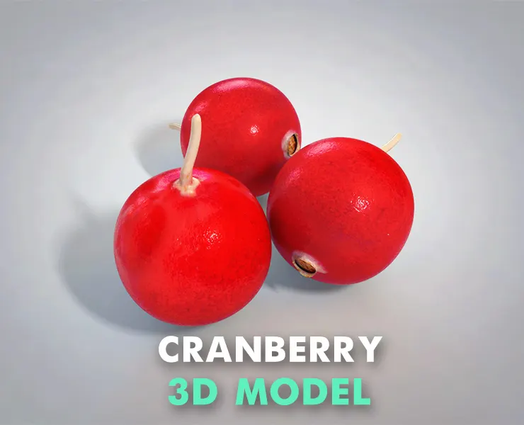 Cranberry 3d model