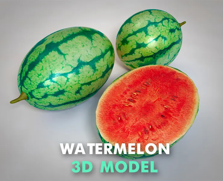 Watermelon 3d model