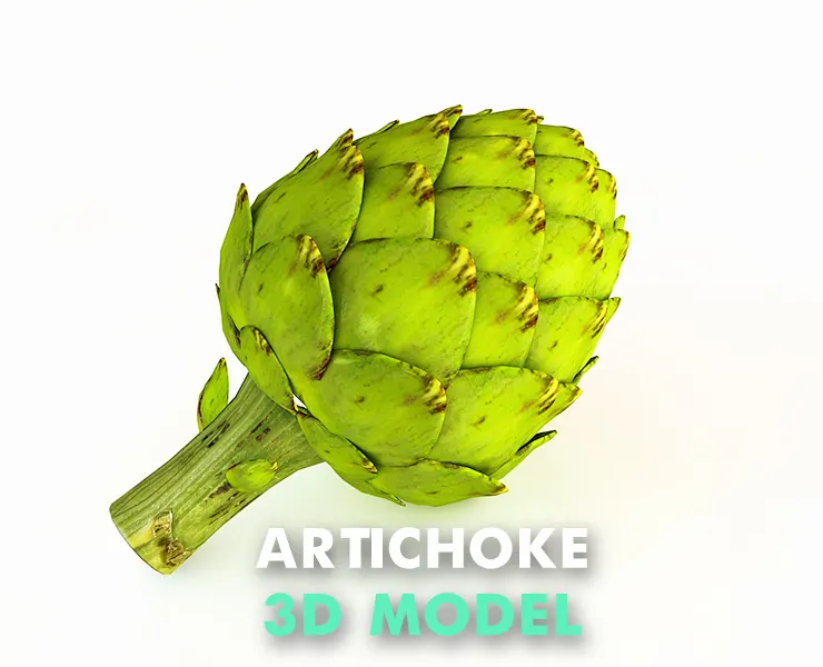 Artichoke 3d model