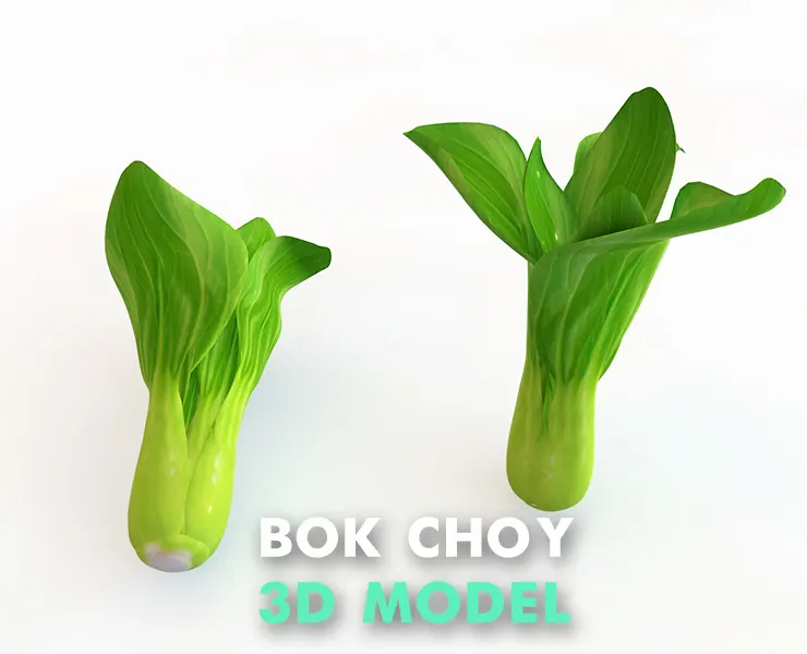 Bok choy 3d model