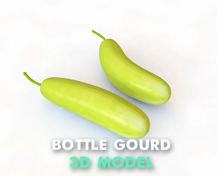 Bottle Gourd 3d model