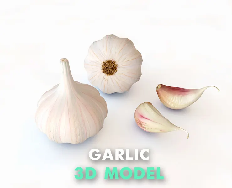 Garlic 3d model