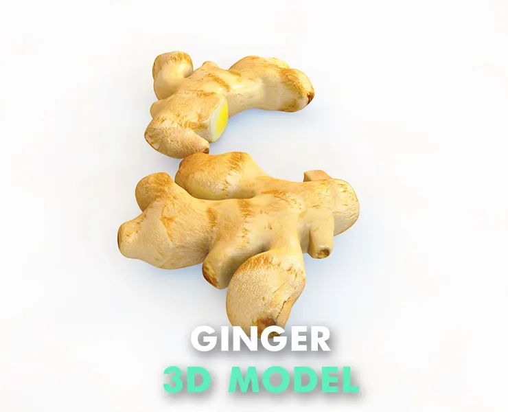 Ginger 3d model