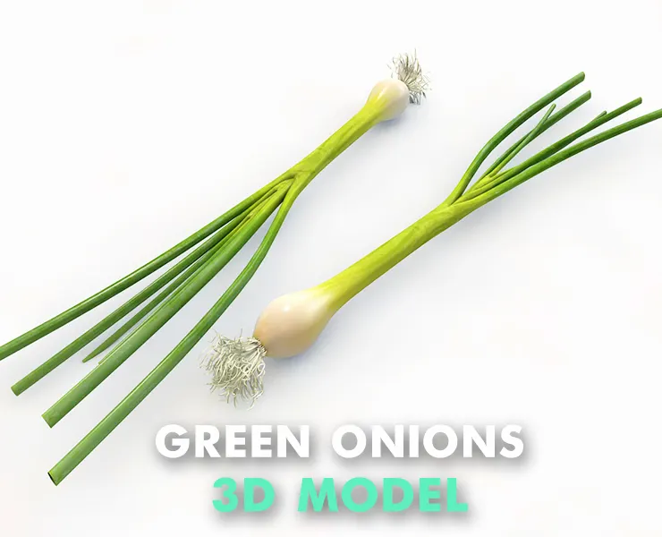 Green Onions 3d model