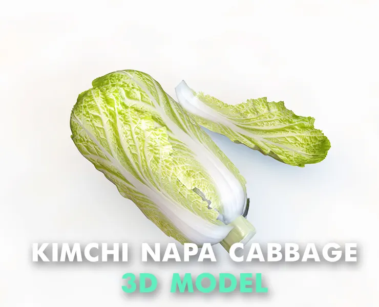 Kimchi napa cabbage 3d model