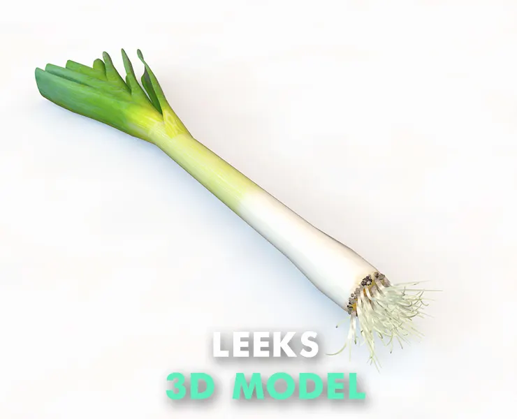 Leeks 3d model