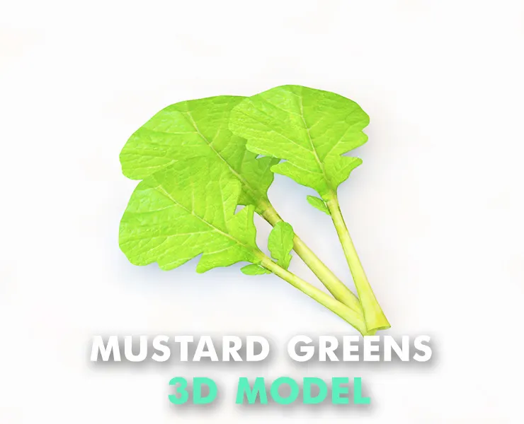 Mustard Greens 3d model