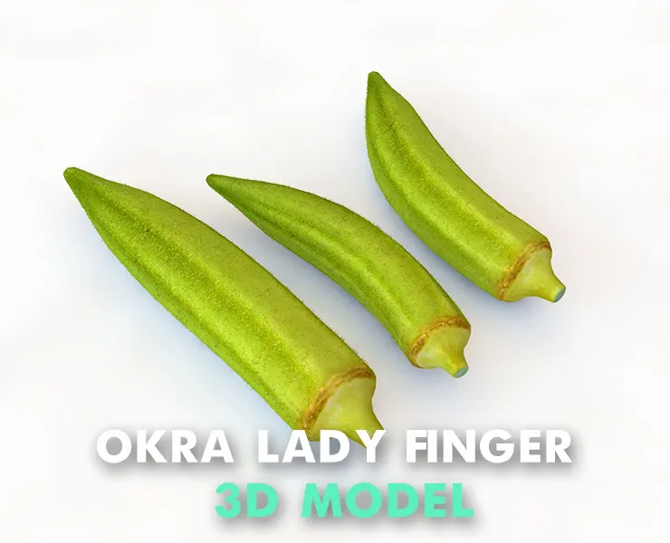 Okra Lady finger 3d model