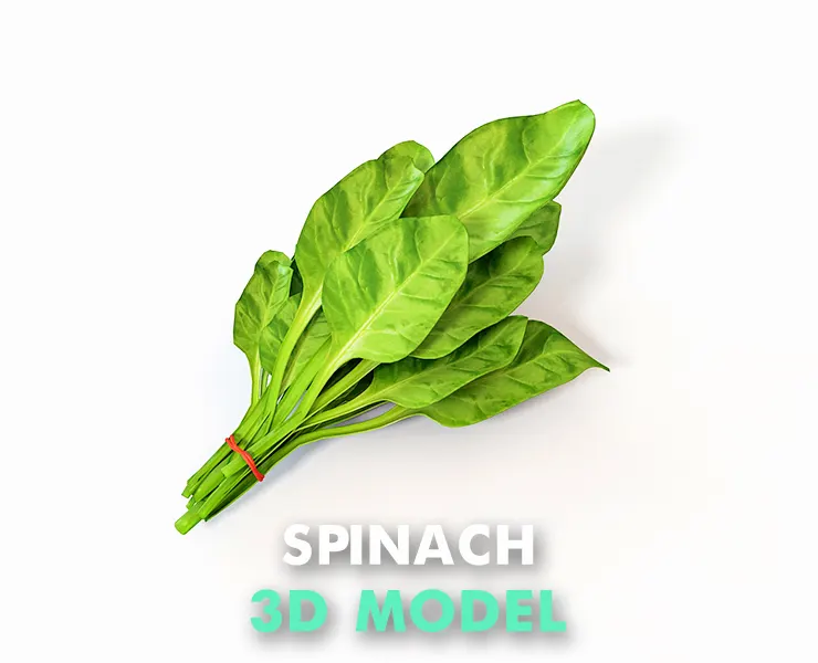 Spinach 3d model