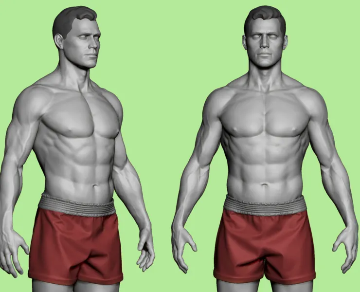 Male body Highpoly model Anatomy