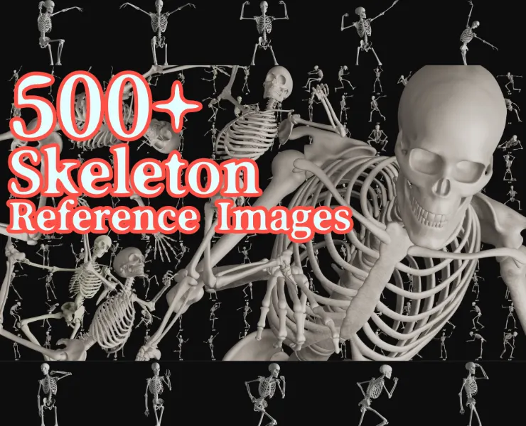 500+Skeleton Reference Images