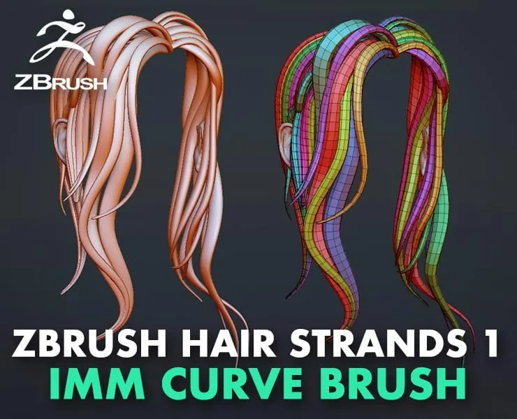 ZBrush Hair Strands 1 / Insert Multi-Mesh Curve Brush.