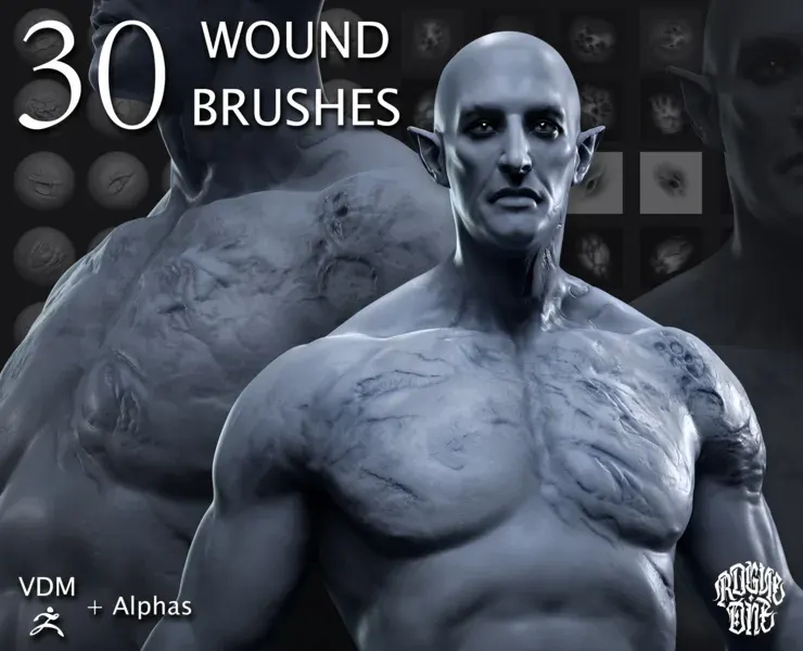 WOUND BRUSHES PACK | VDM + Alphas