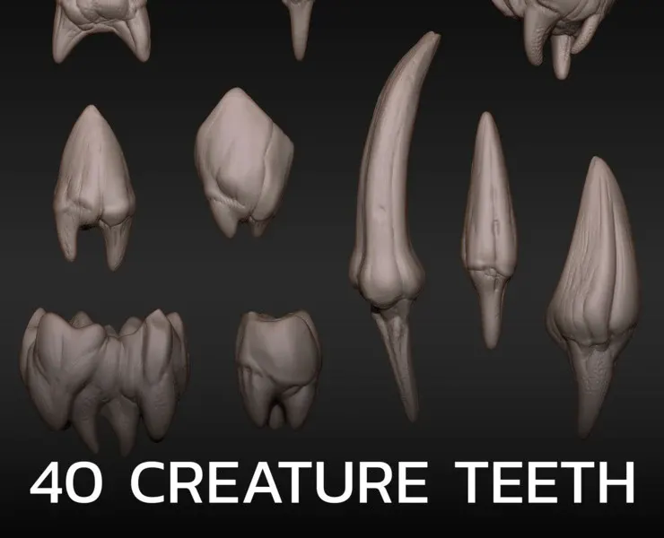 Creature Teeth