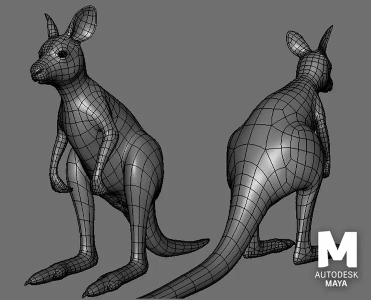 Kangaroo Baby BaseMesh - Topology + UV Map