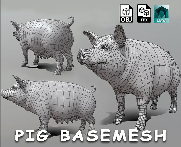 Female Pig BaseMesh - Topology + UV Map