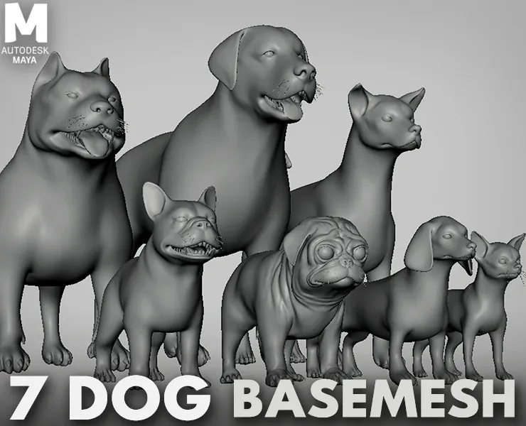 7Dog BaseMesh Pack - Topology + UV Map ( Pitbull+Labrador+StreetDog+French BullDog+Pug+Dachshund+Chihuahua)