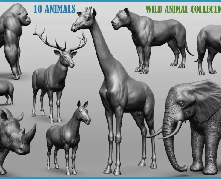 Wild animal collection - 10 animals