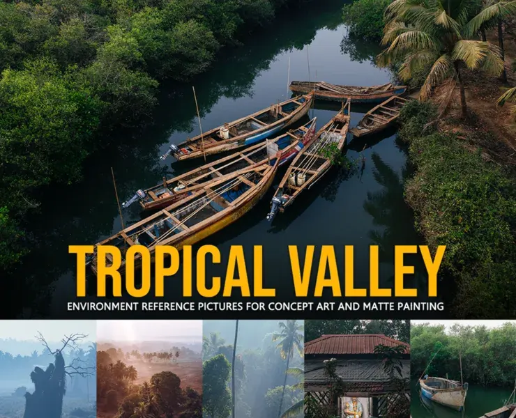 Tropical Valley Reference Pictures