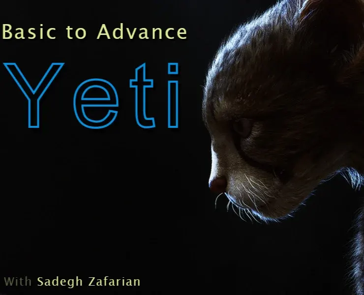 Basic to Advance Yeti course