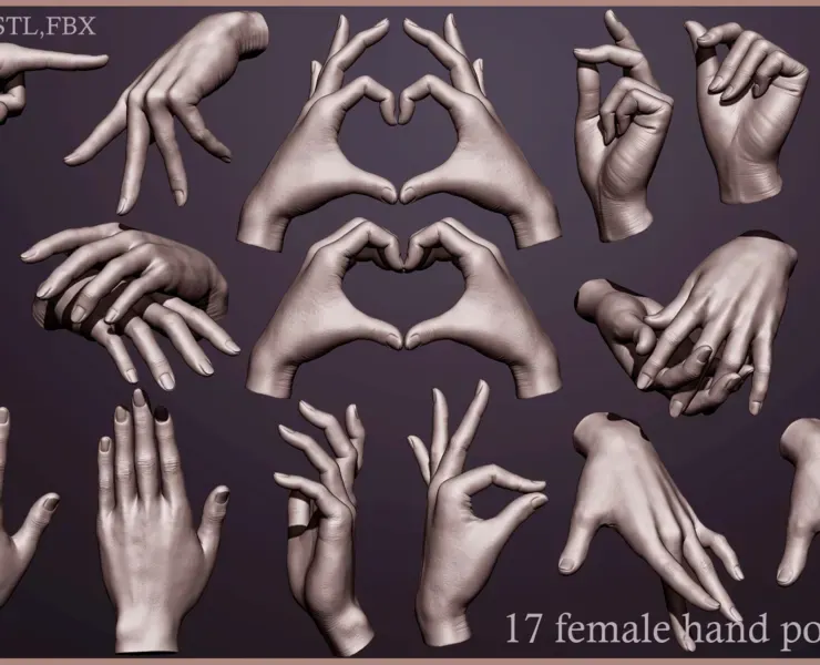 17 Female hand poses