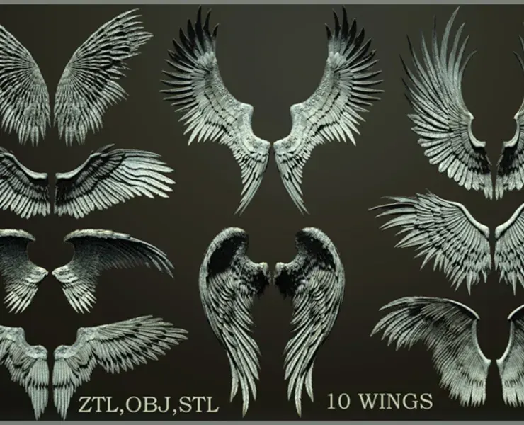 10 Wing Сollection 01