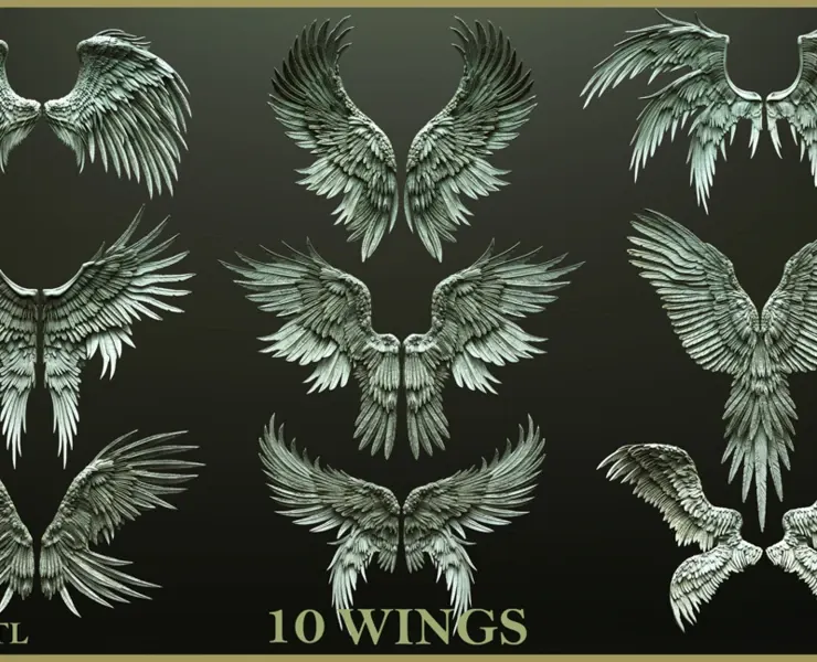 Pack of 10 High-Poly Wings 03