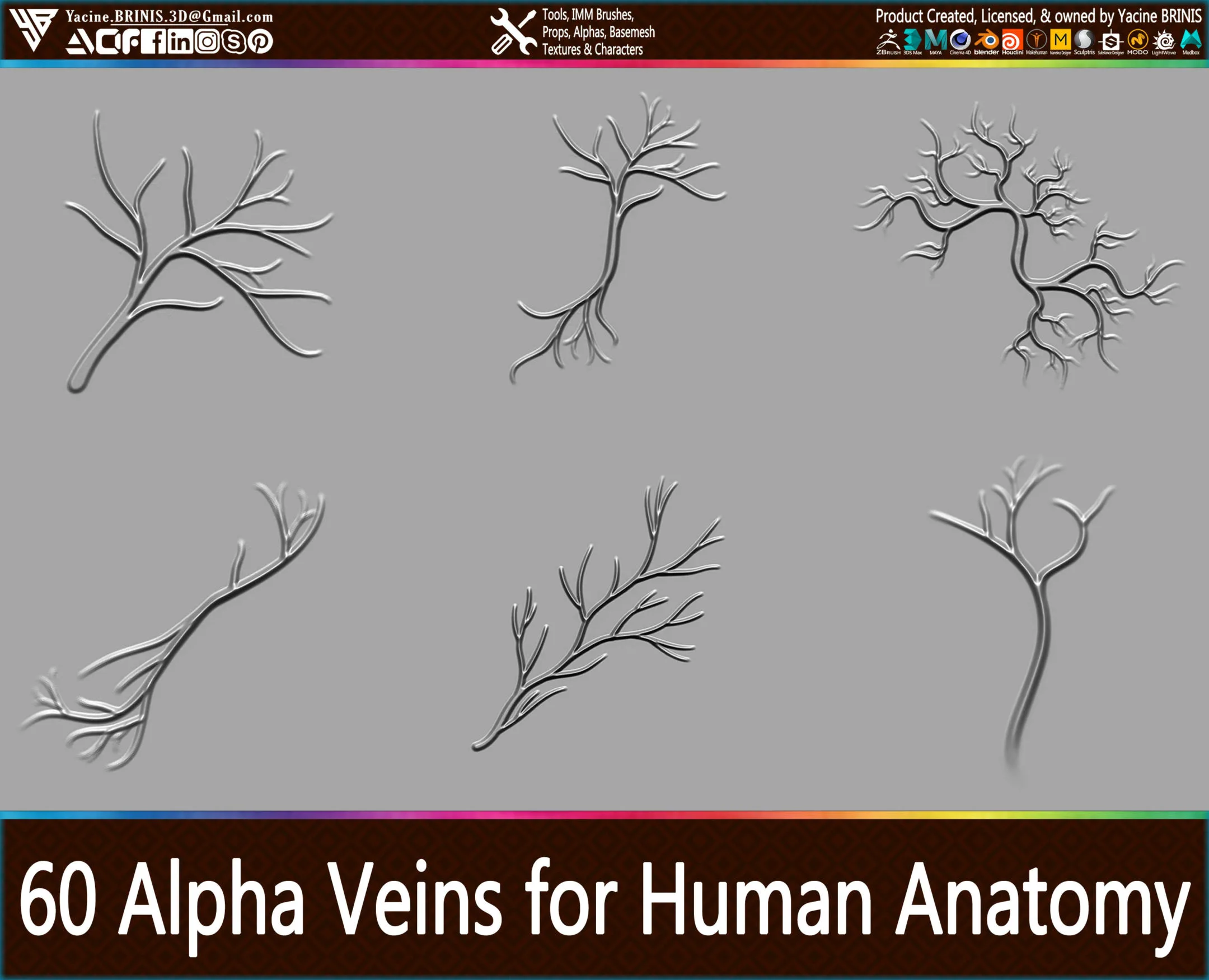 60 Alpha Veins for Human Anatomy