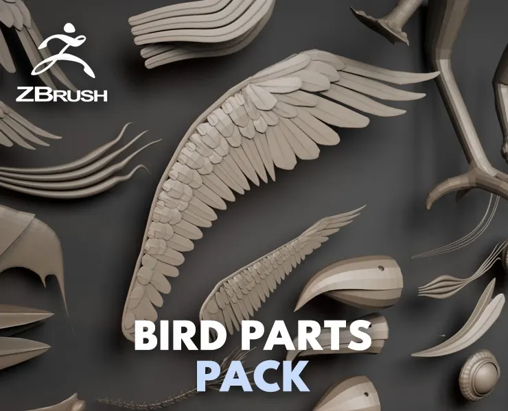 Birds Parts Pack - 36 IMM /Curve Brushes -ZBrush