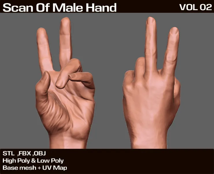 3D Scan Real Male Hand VOL 02