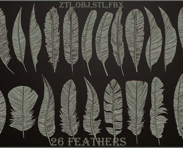 26 Feathers