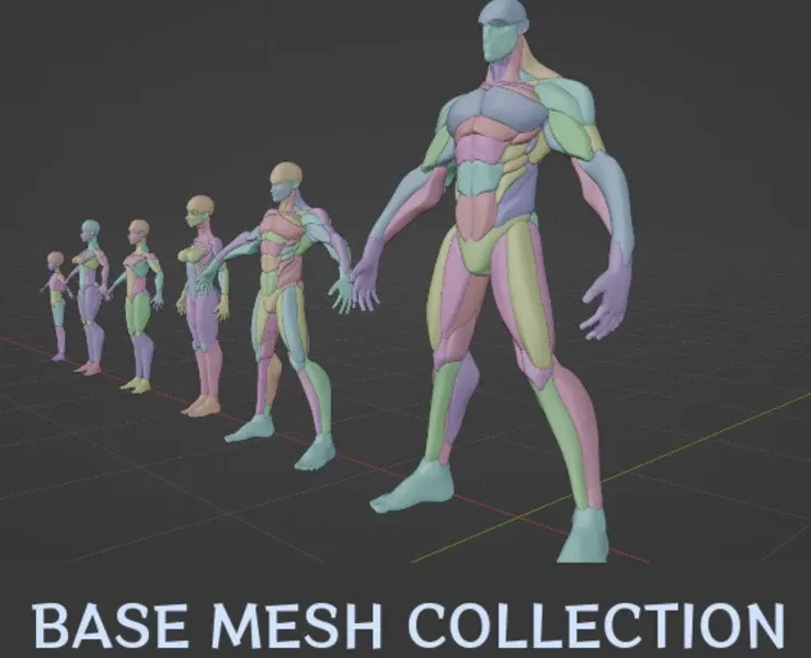 Base mesh collection
