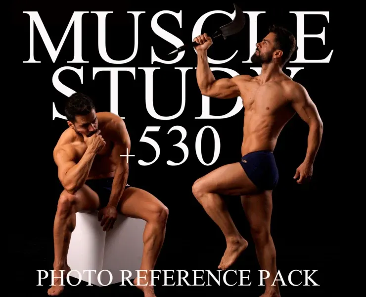 530+ Muscle Study Poses Reference Package