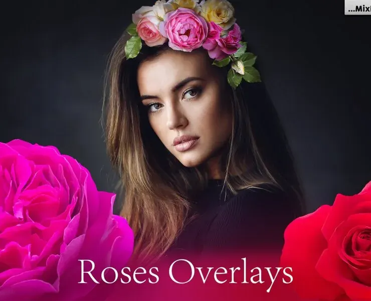 Roses Photo Overlays